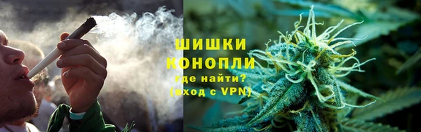PSILOCYBIN Алексеевка