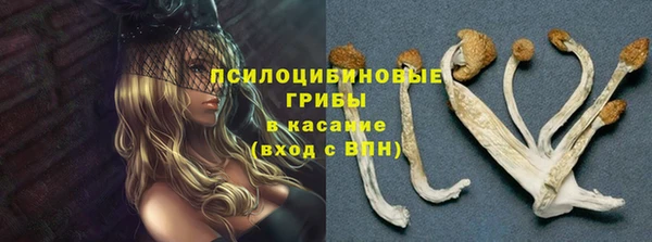 соль ск Абдулино