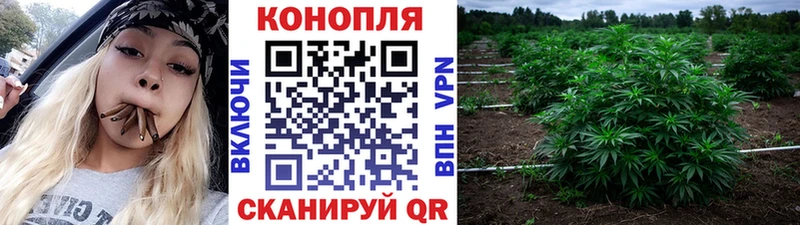 Бошки марихуана OG Kush  даркнет сайт  darknet какой сайт  Ядрин 